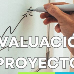 Aprende Evaluación de Proyectos Online en vivo, Cursos online en vivo
