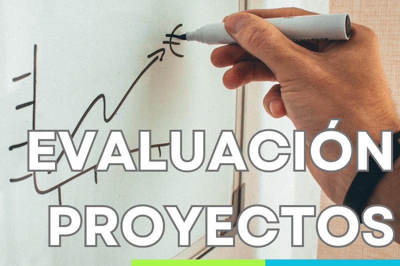 Aprende Evaluación de Proyectos Online en vivo, Cursos online en vivo